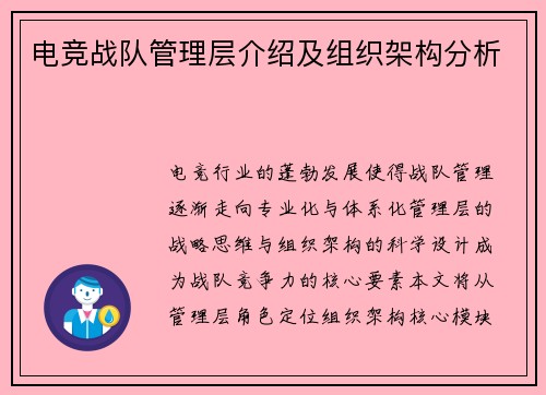 电竞战队管理层介绍及组织架构分析