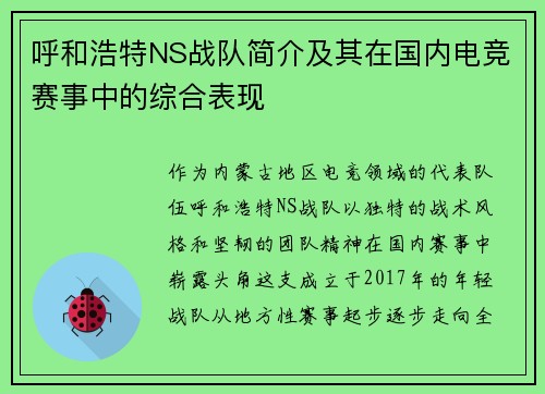 呼和浩特NS战队简介及其在国内电竞赛事中的综合表现